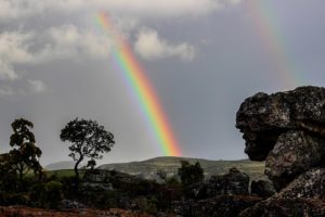 rainbow-509500__340